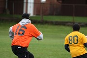 OTFL Gallery Image